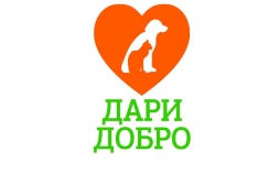 В ВятГУ пройдет акция «Дари добро» в поддержку бездомных животных