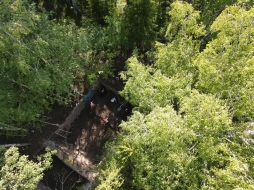 Археологи ВятГУ завершили раскопки на территории Пижемского городища