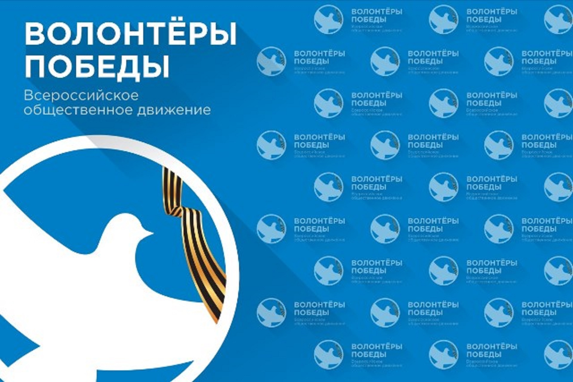 Одежда Волонтеры Победы Купить