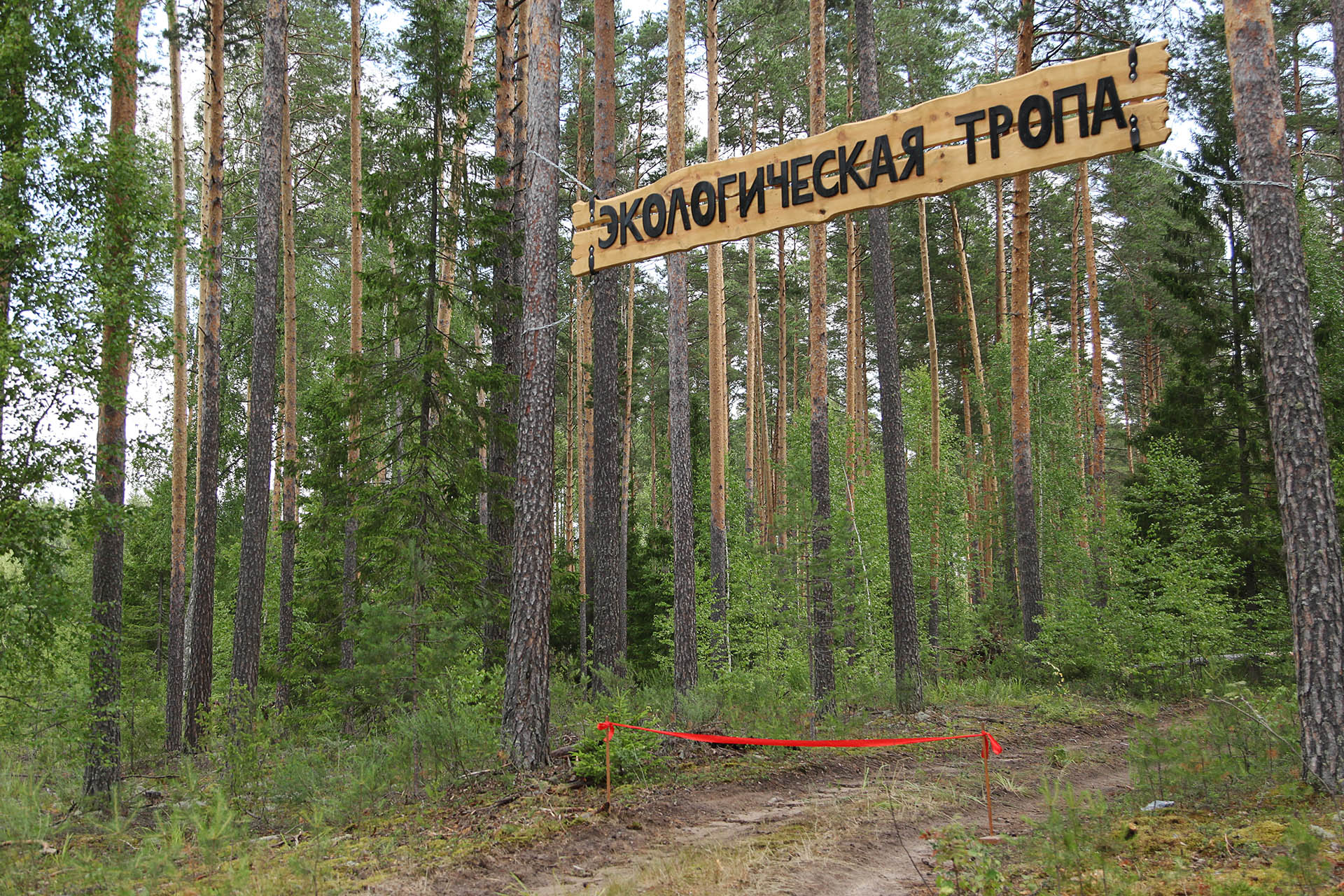 Жемчужина, доступная всем Жемчужина, доступная всем