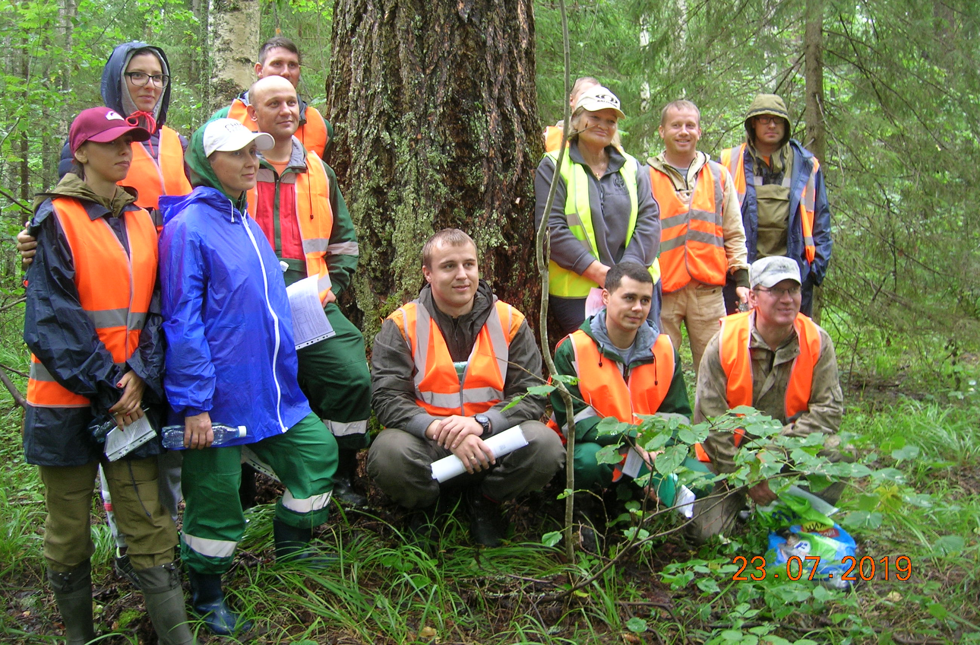 Ученые ВятГУ способствуют продвижению лесной сертификации в регионе