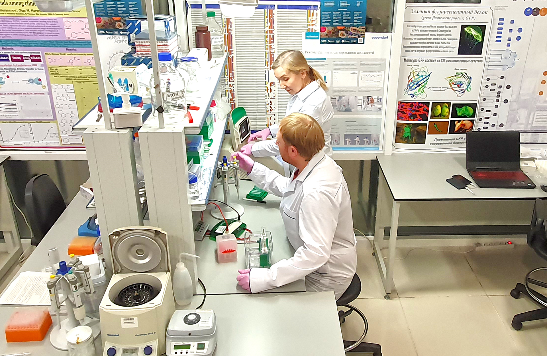 «Новые возможности для каждого»: Современные методы бионанотехнологии