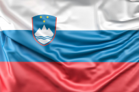 Обучение и стажировки в Словении
