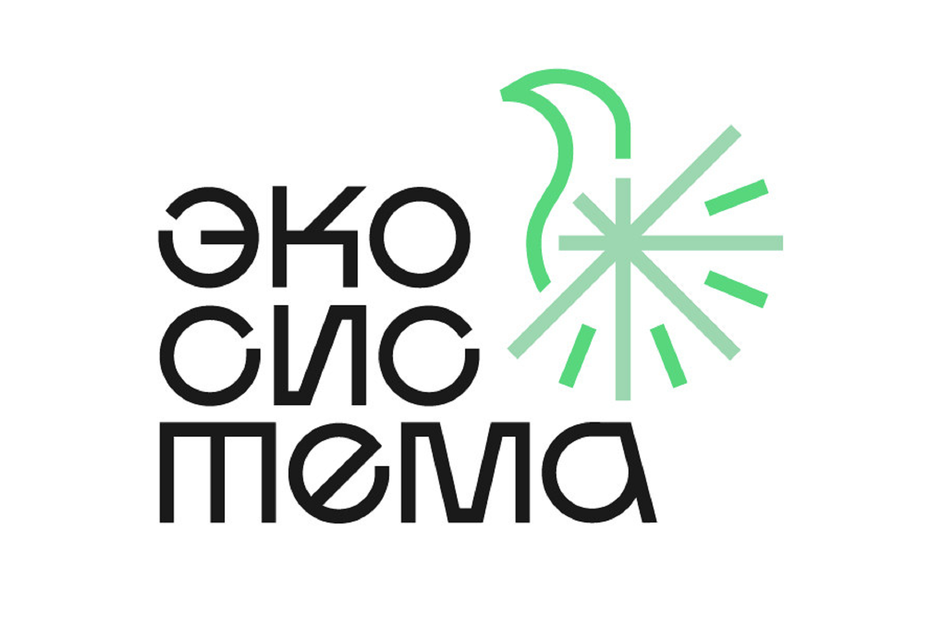 Молодых активистов приглашают принять участие во Всероссийском форуме «Экосистема»