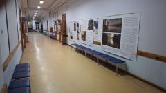  «День, когда мы видим больше»: в ВятГУ открылась выставка фотопроекта «Мир Плюс»