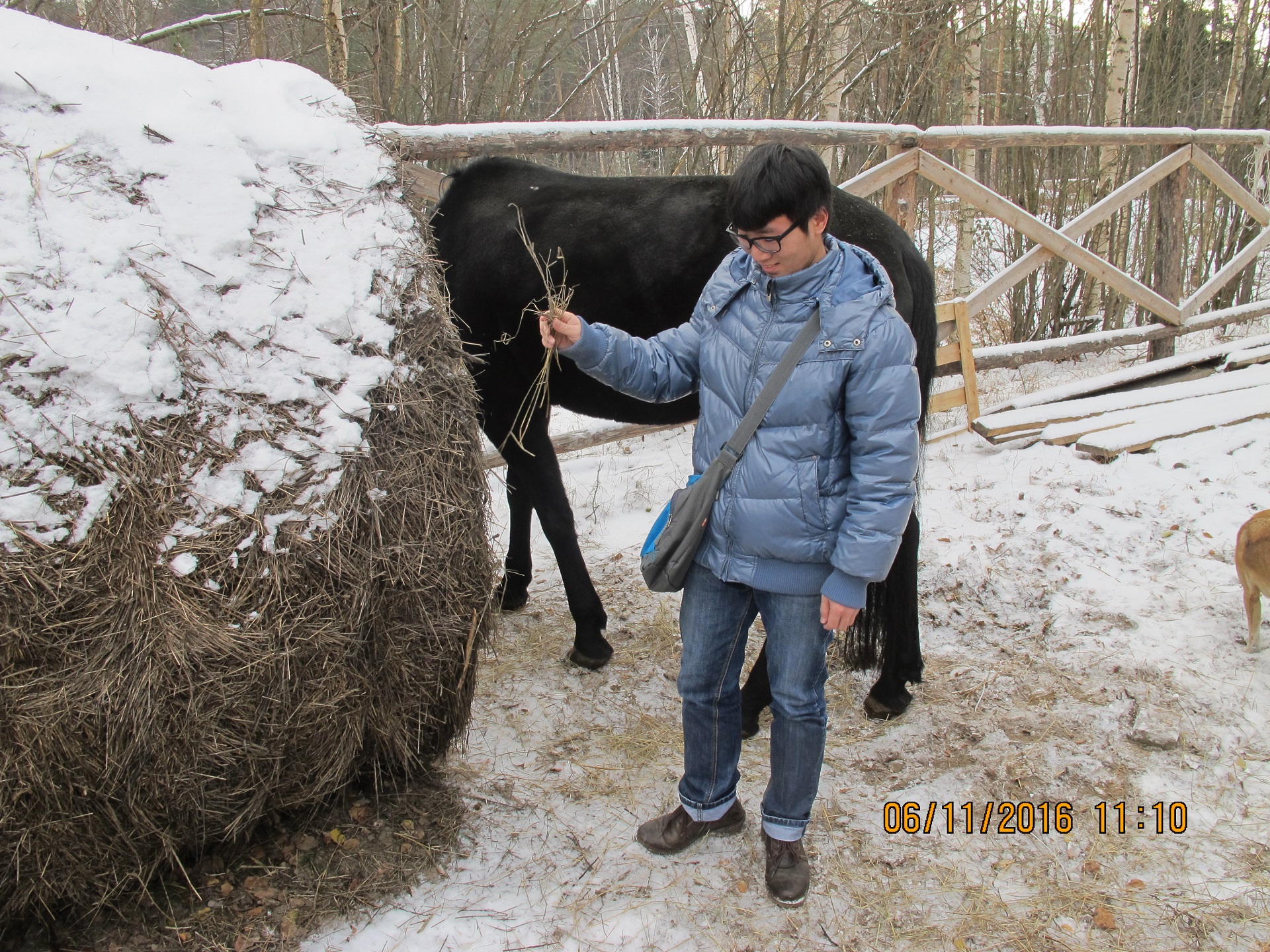 Нескучный город