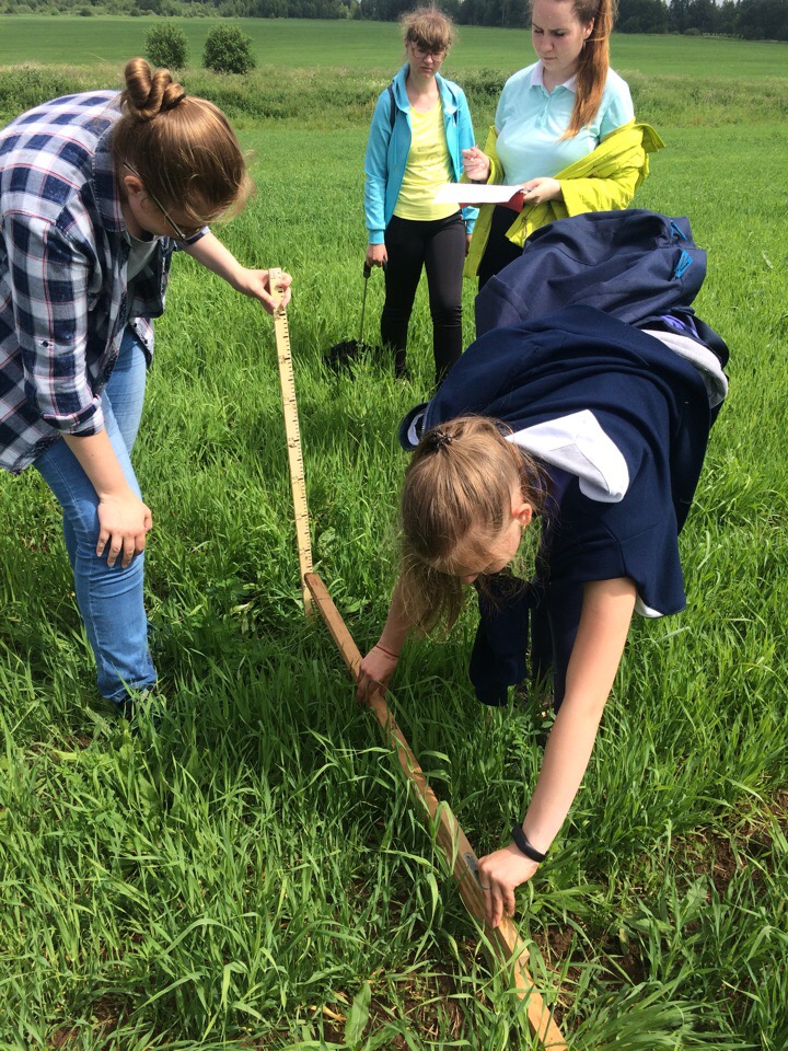 Полевая практика